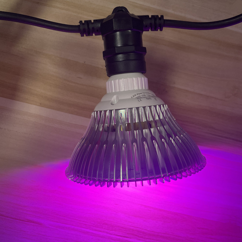 Cabo de LED de 10M à prova d'á - Outdoor Lighting Permanent avaliação e preço